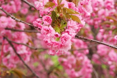 南通海安6线下个人借款平台一站式服务，轻松解决资金难题