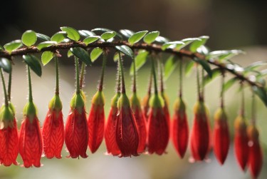 南通海安6零用贷短借：轻松解决临时资金需求