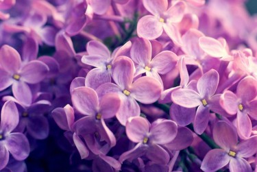 南通海安6企业急用钱贷款攻略：快速融资解燃眉之急